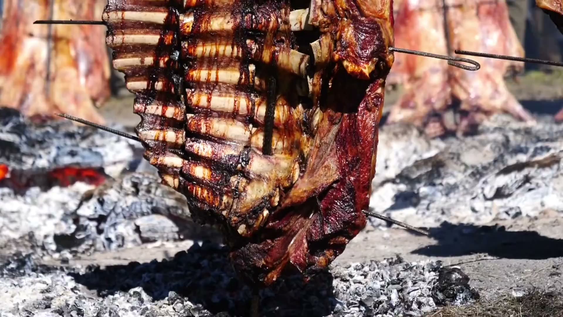 День на эстансии