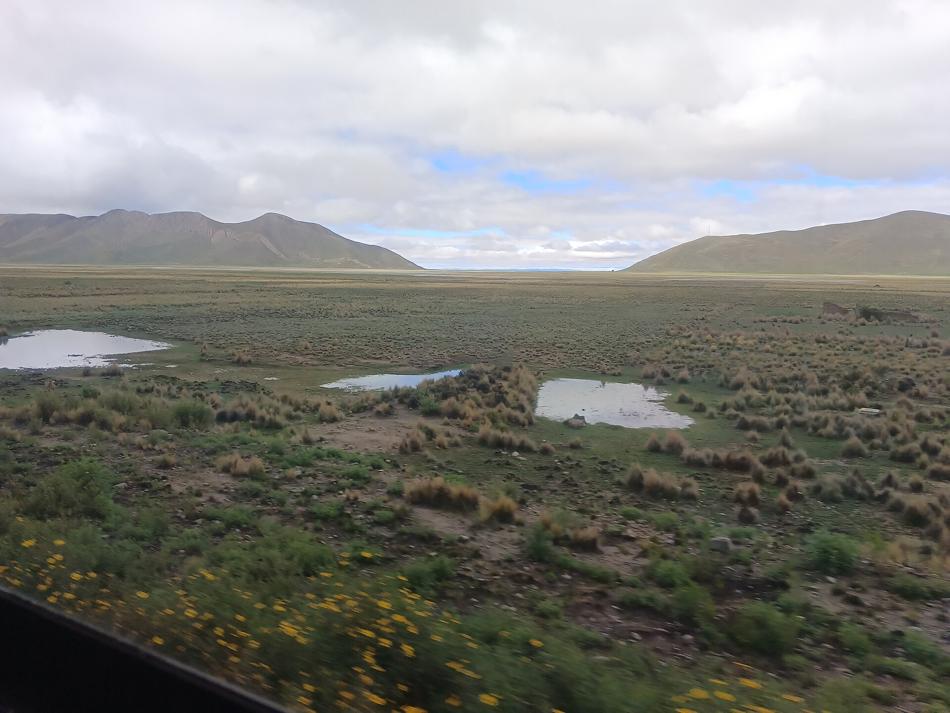 Campo
