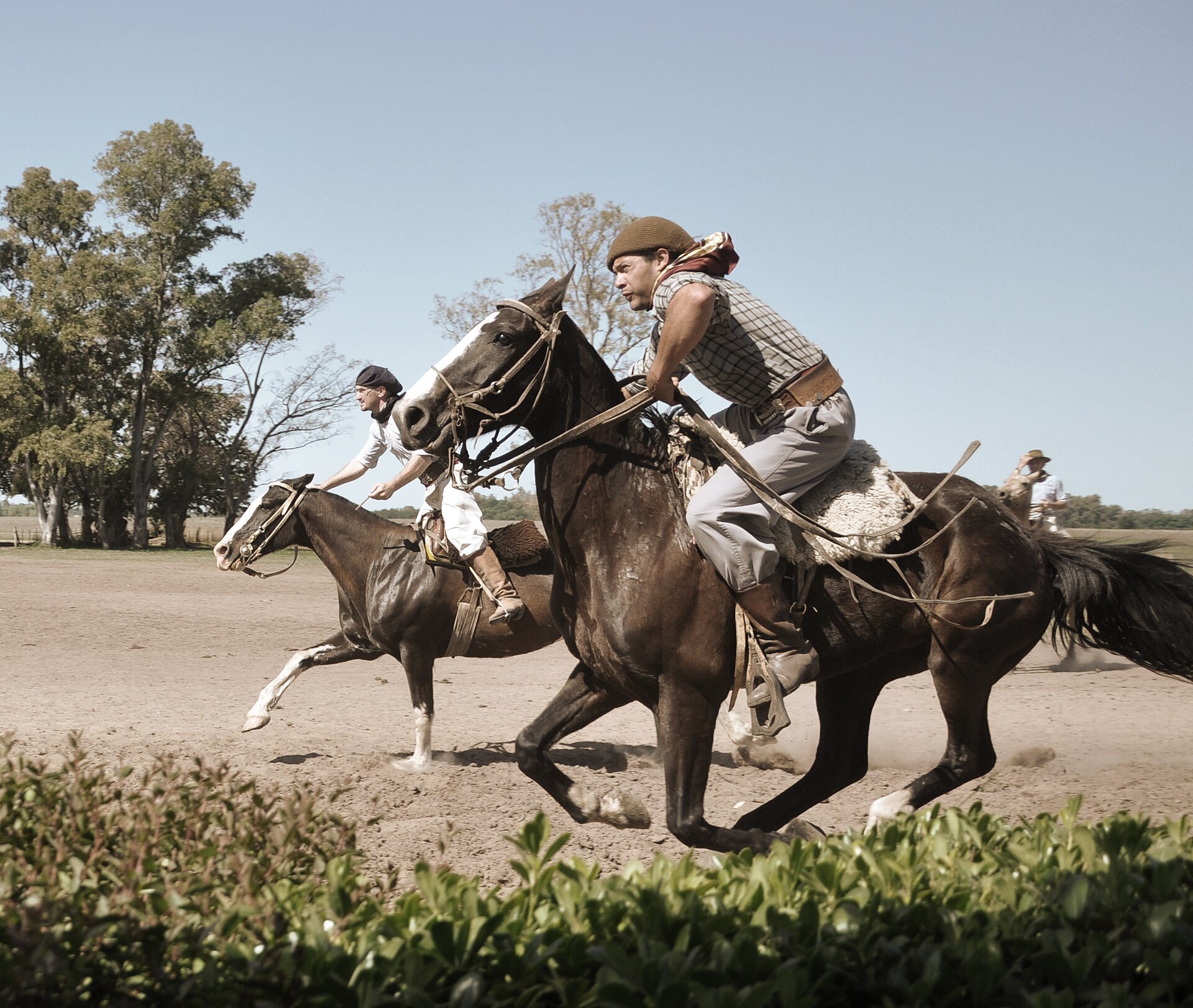 Caballos