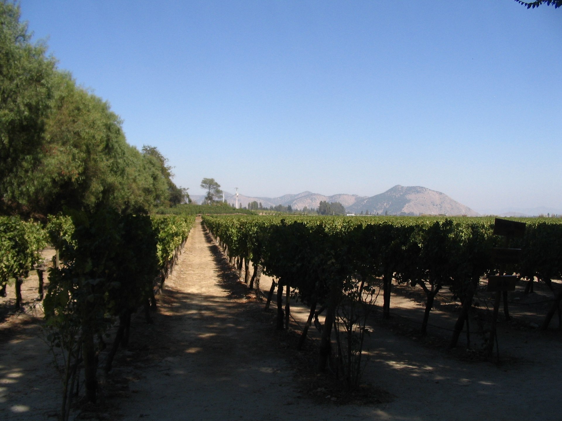Maipo
